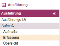 Menü Ausführung