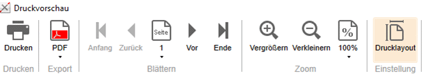 Druckvorschau Menü